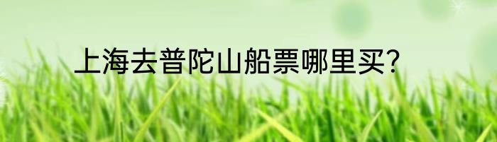 上海去普陀山船票哪里买？