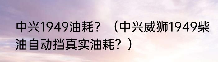 中兴1949油耗？（中兴威狮1949柴油自动挡真实油耗？）