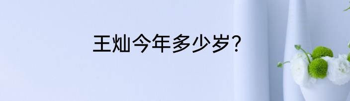 王灿今年多少岁？