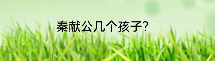 秦献公几个孩子？