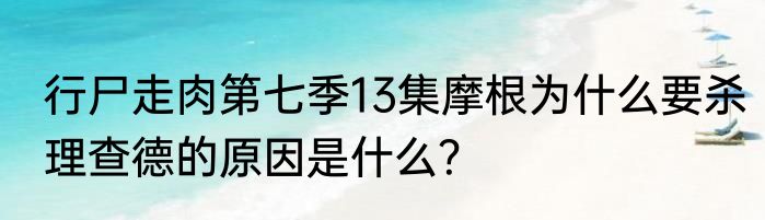 行尸走肉第七季13集摩根为什么要杀理查德的原因是什么？