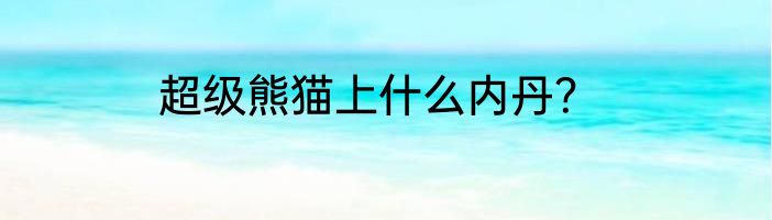 超级熊猫上什么内丹？