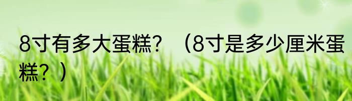 8寸有多大蛋糕？（8寸是多少厘米蛋糕？）