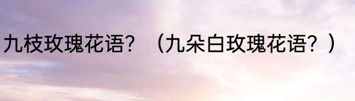 九枝玫瑰花语？（九朵白玫瑰花语？）