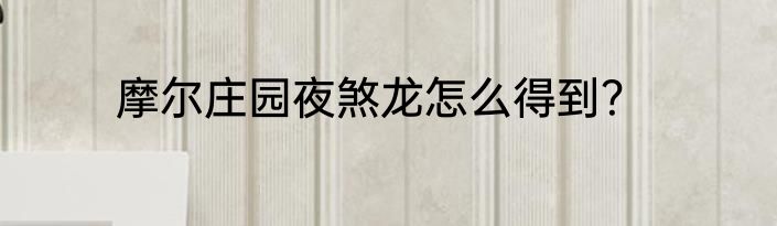 摩尔庄园夜煞龙怎么得到？