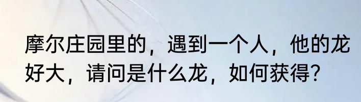 摩尔庄园里的，遇到一个人，他的龙好大，请问是什么龙，如何获得？