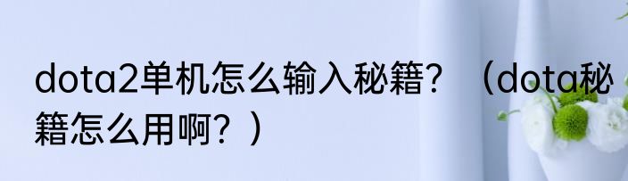 dota2单机怎么输入秘籍？（dota秘籍怎么用啊？）
