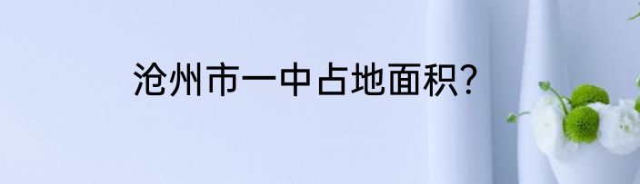 沧州市一中占地面积？