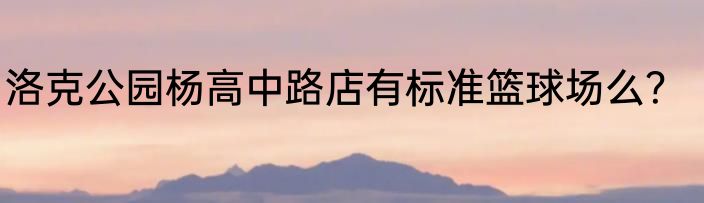 洛克公园杨高中路店有标准篮球场么？