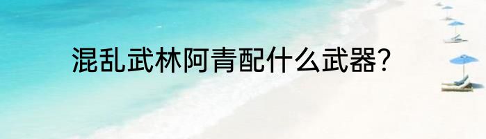混乱武林阿青配什么武器？