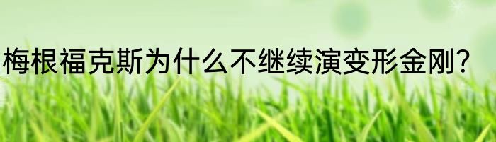 梅根福克斯为什么不继续演变形金刚？