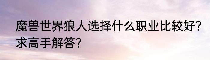 魔兽世界狼人选择什么职业比较好？求高手解答？