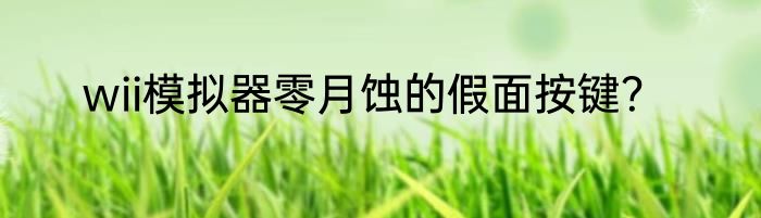 wii模拟器零月蚀的假面按键？