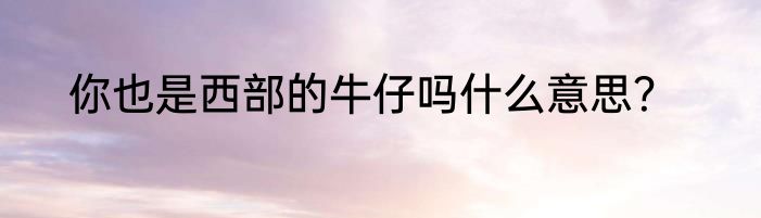 你也是西部的牛仔吗什么意思？