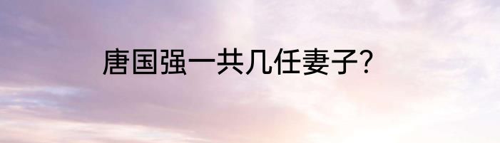 唐国强一共几任妻子？