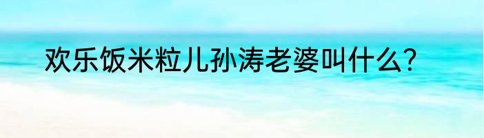 欢乐饭米粒儿孙涛老婆叫什么？