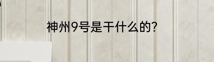 神州9号是干什么的？