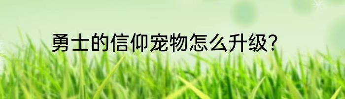 勇士的信仰宠物怎么升级？
