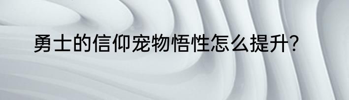 勇士的信仰宠物悟性怎么提升？