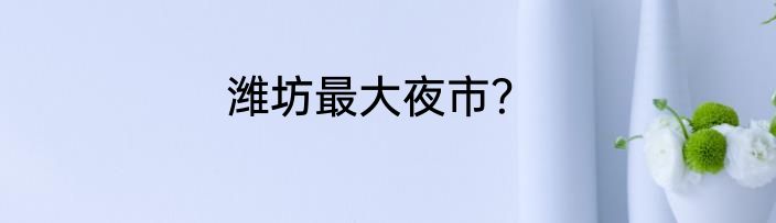 潍坊最大夜市？