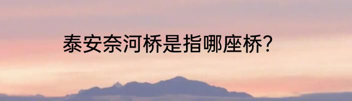 泰安奈河桥是指哪座桥？
