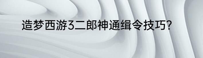 造梦西游3二郎神通缉令技巧？