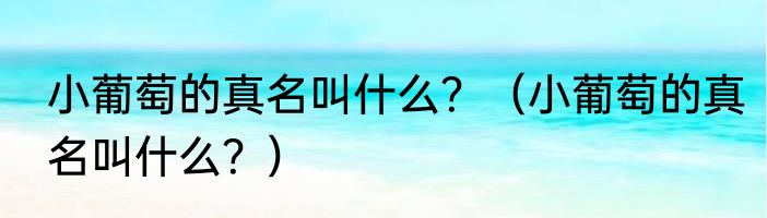 小葡萄的真名叫什么？（小葡萄的真名叫什么？）