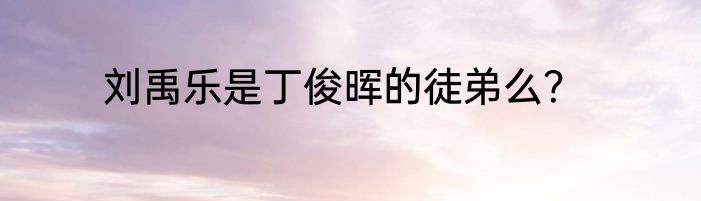 刘禹乐是丁俊晖的徒弟么？