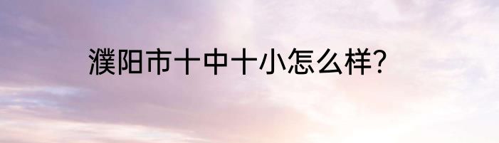 濮阳市十中十小怎么样？
