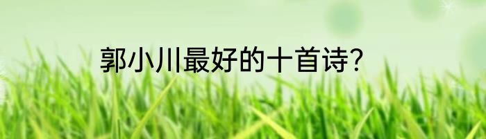郭小川最好的十首诗？