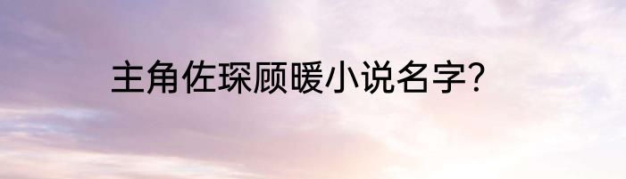 主角佐琛顾暖小说名字？