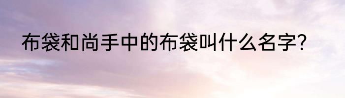 布袋和尚手中的布袋叫什么名字？