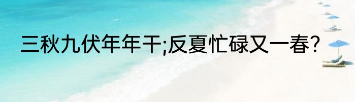 三秋九伏年年干;反夏忙碌又一春？