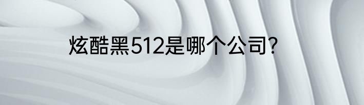 炫酷黑512是哪个公司？