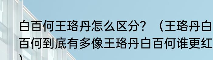 白百何王珞丹怎么区分？（王珞丹白百何到底有多像王珞丹白百何谁更红？）