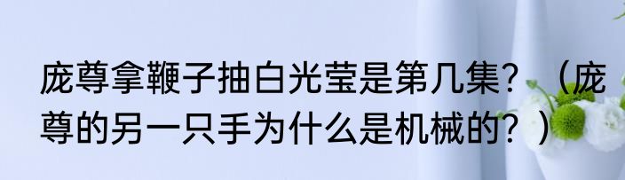 庞尊拿鞭子抽白光莹是第几集？（庞尊的另一只手为什么是机械的？）
