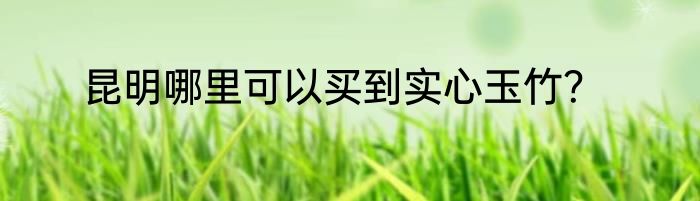 昆明哪里可以买到实心玉竹？