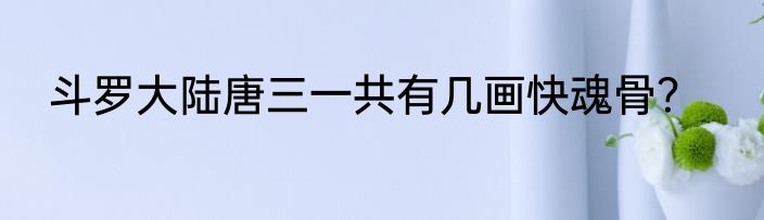 斗罗大陆唐三一共有几画快魂骨？