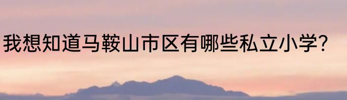 我想知道马鞍山市区有哪些私立小学？
