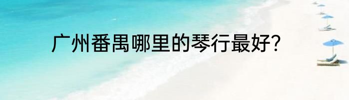 广州番禺哪里的琴行最好？