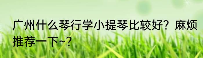 广州什么琴行学小提琴比较好？麻烦推荐一下~？