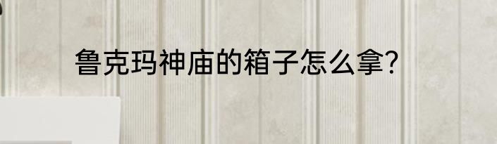 鲁克玛神庙的箱子怎么拿？