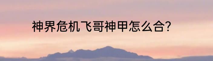 神界危机飞哥神甲怎么合？