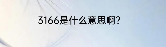 3166是什么意思啊？