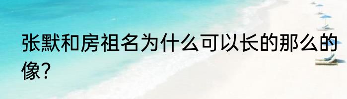 张默和房祖名为什么可以长的那么的像？