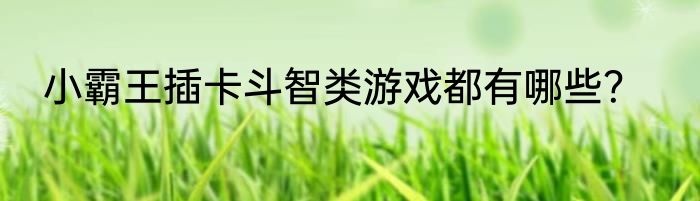 小霸王插卡斗智类游戏都有哪些？