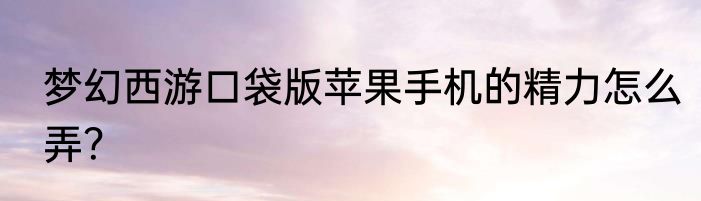梦幻西游口袋版苹果手机的精力怎么弄？