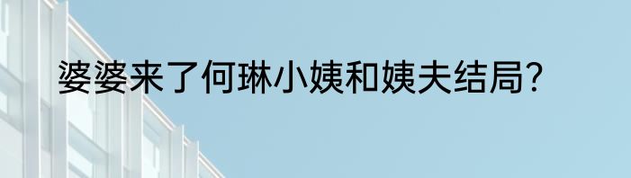 婆婆来了何琳小姨和姨夫结局？