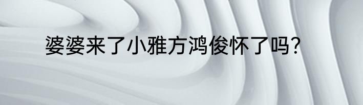 婆婆来了小雅方鸿俊怀了吗？