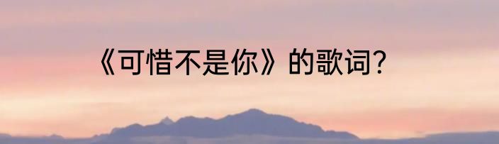 《可惜不是你》的歌词？
